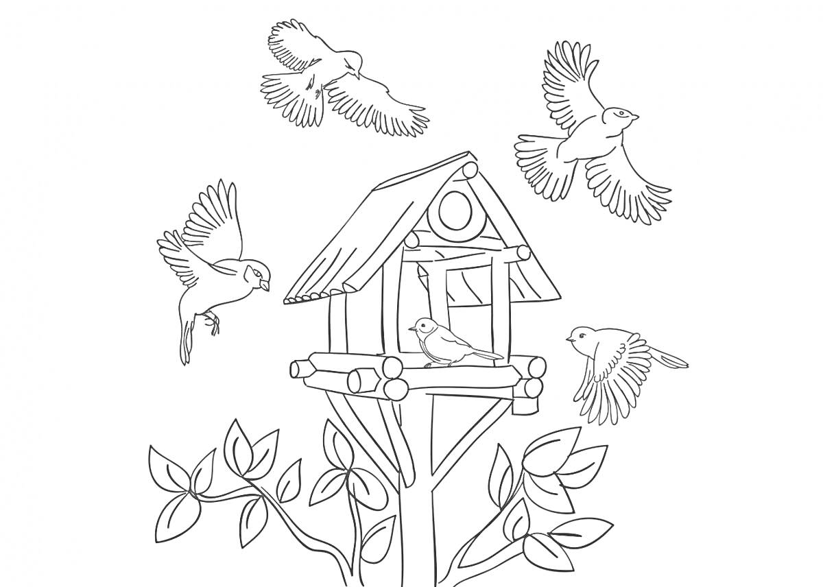 Раскраска Пять птиц и кормушка на дереве с листьями