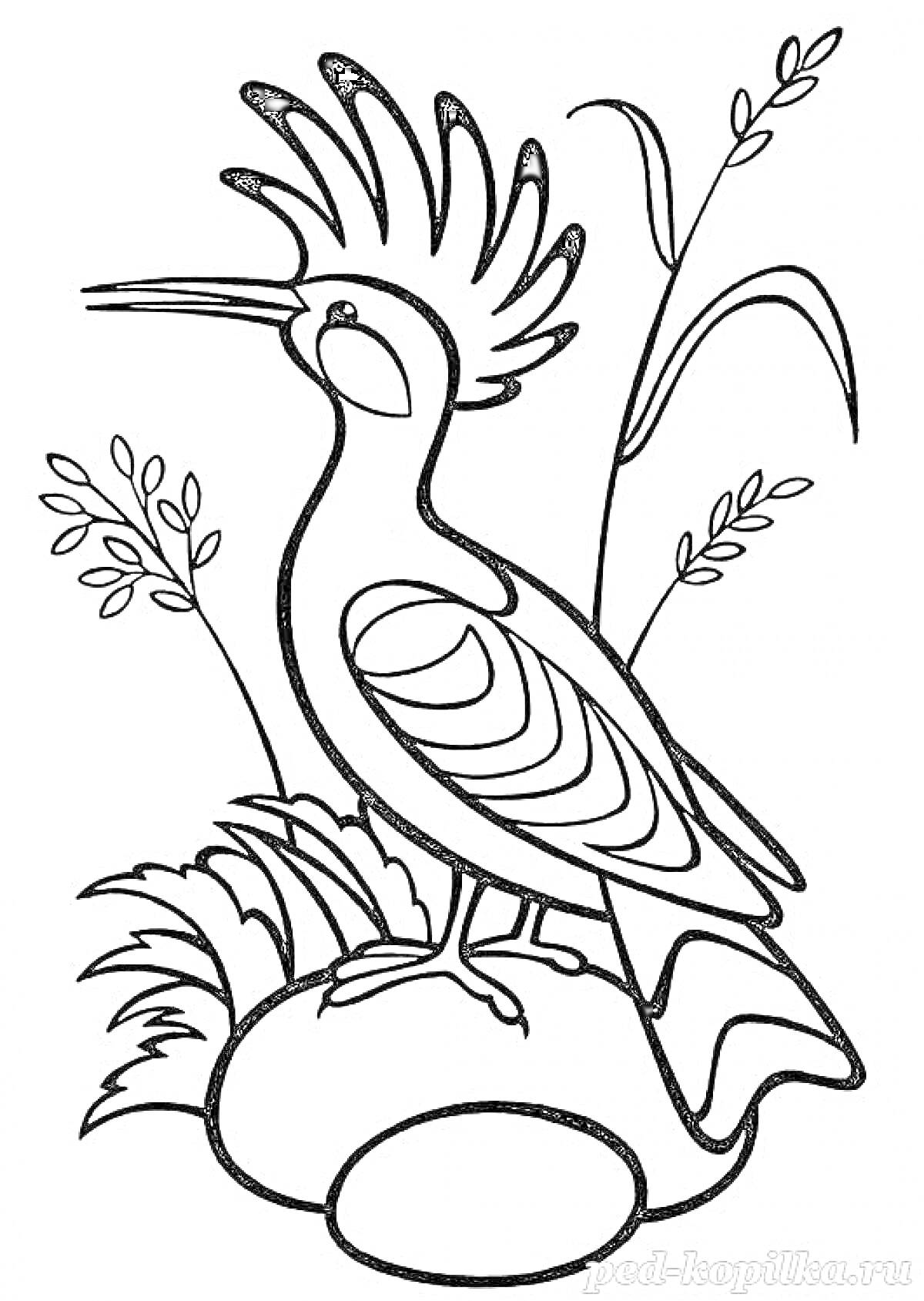 Раскраска Птица с хохолком на камне среди травы