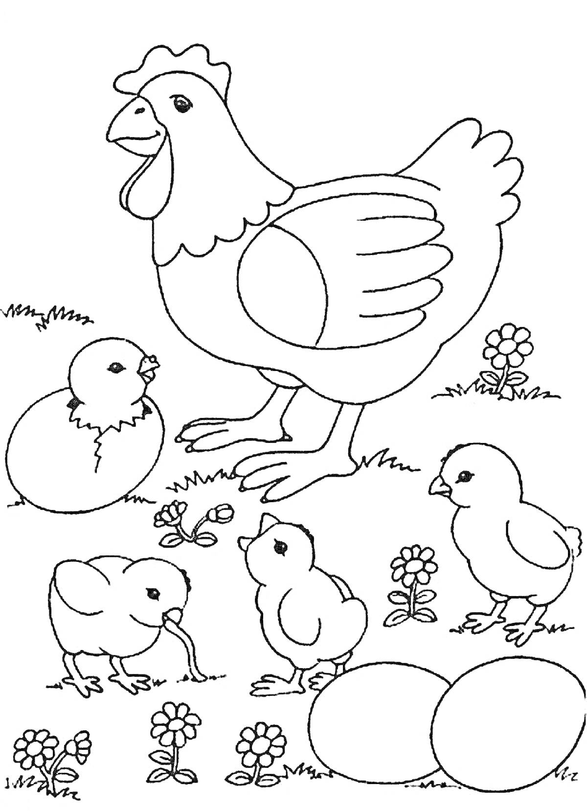 На раскраске изображено: Цыплята, Яйца, Цветы, Луг, Домашние птицы