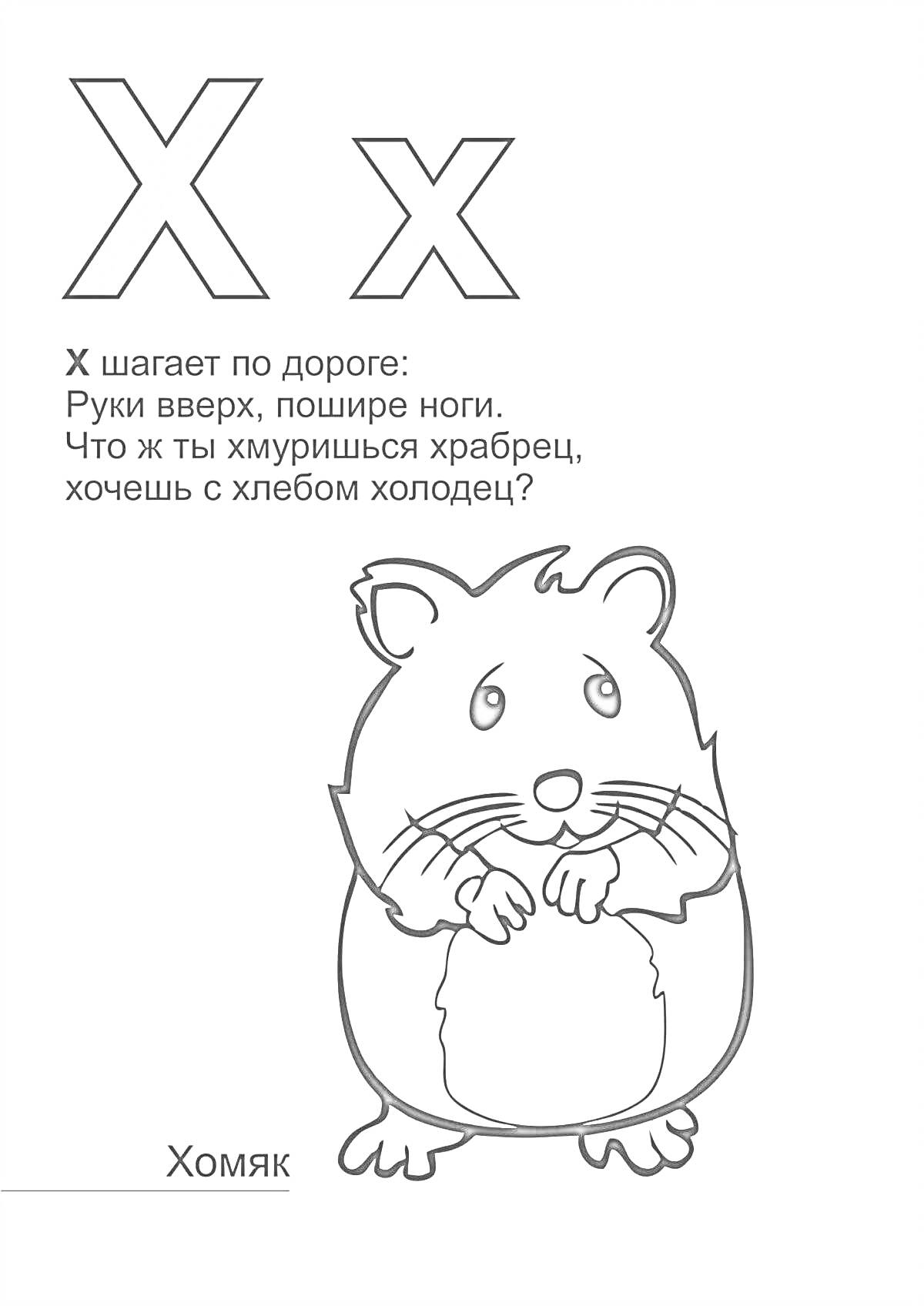 На раскраске изображено: Буква Х, Алфавит, Дошкольники, Хомяк, Обучение, Русский язык, Развитие речи