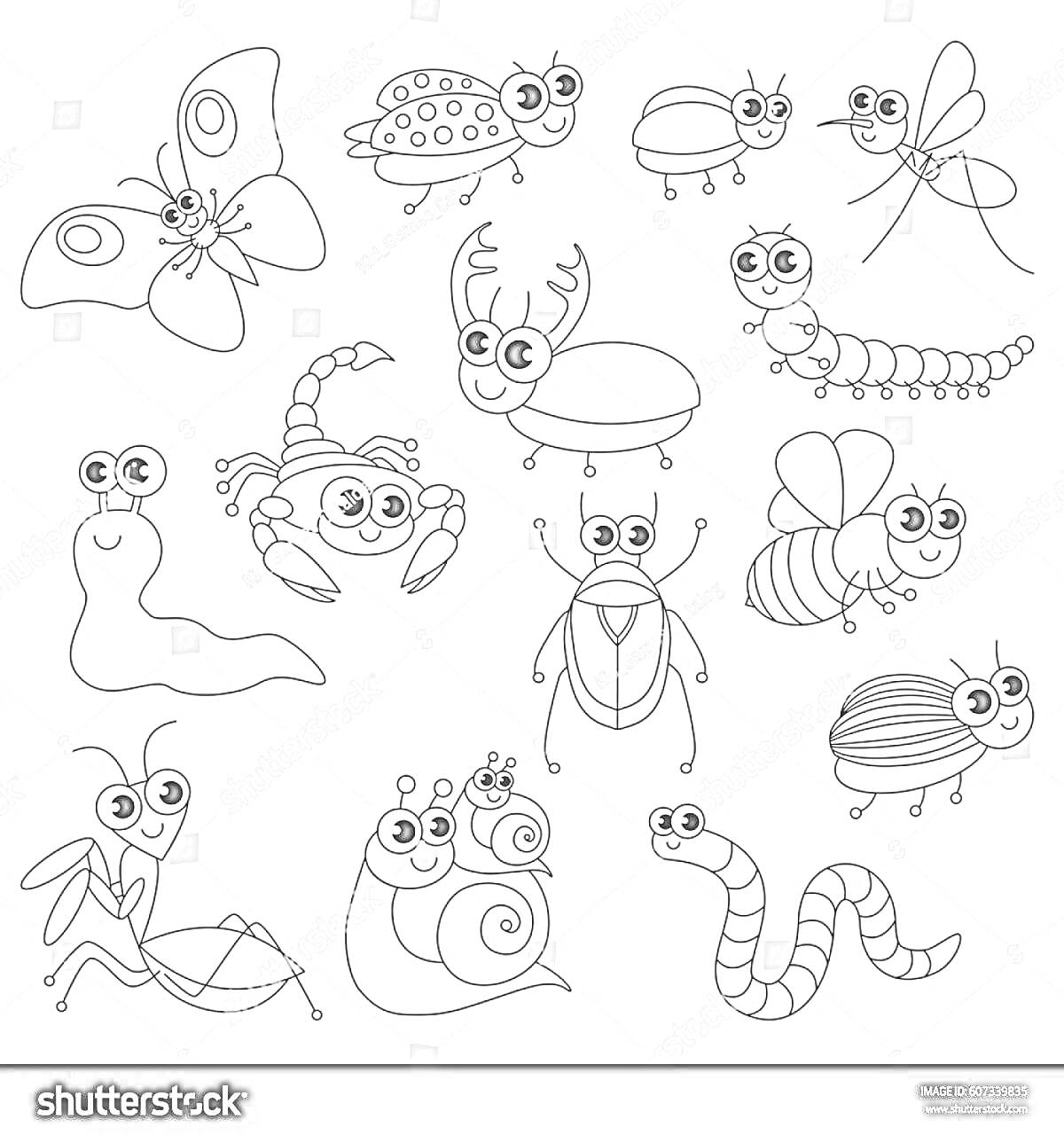 На раскраске изображено: Бабочка, Комар, Червь, Рак, Шмель, Улитка, Окружающий мир