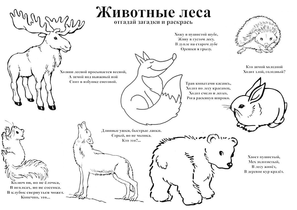Раскраска Лесные животные (лось, лиса, ёж, заяц, белка, волк, медведь)