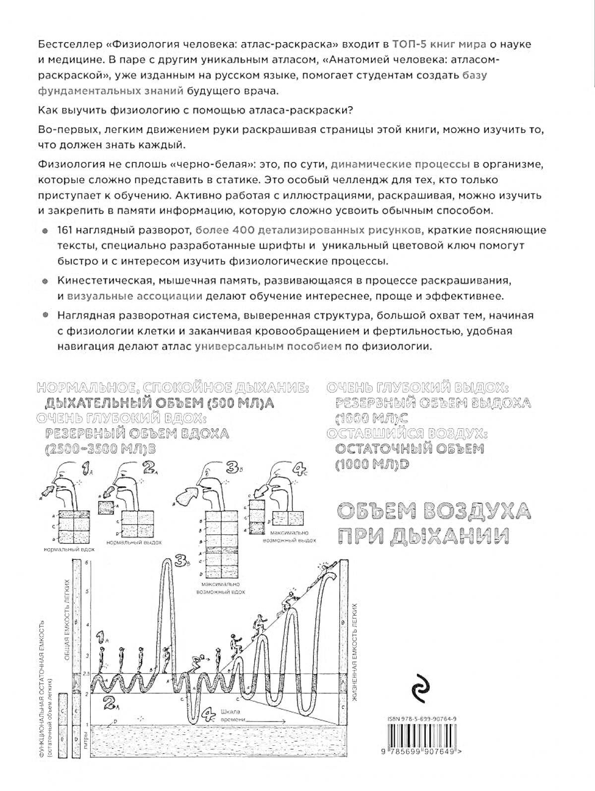 На раскраске изображено: Физиология, Дыхание, Легкие, Анатомия человека