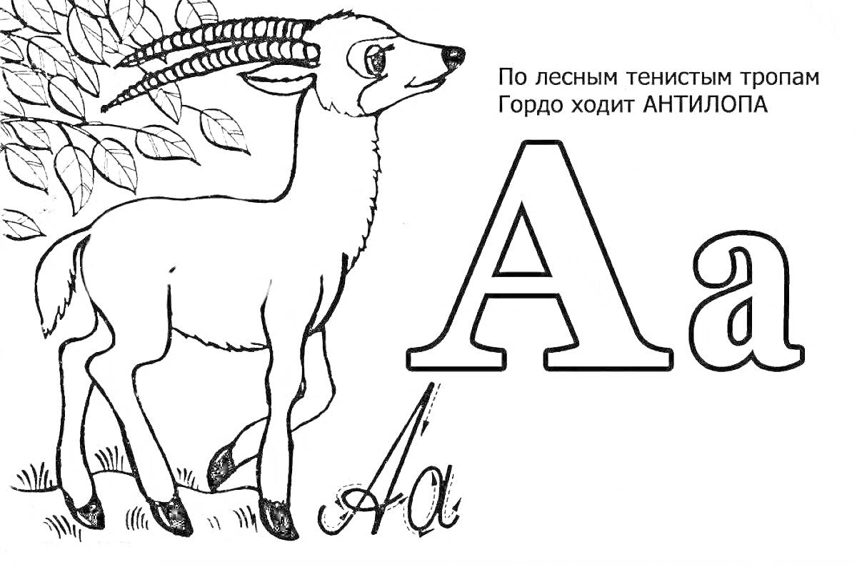 Антилопа под буквой А с текстом и элементами природы