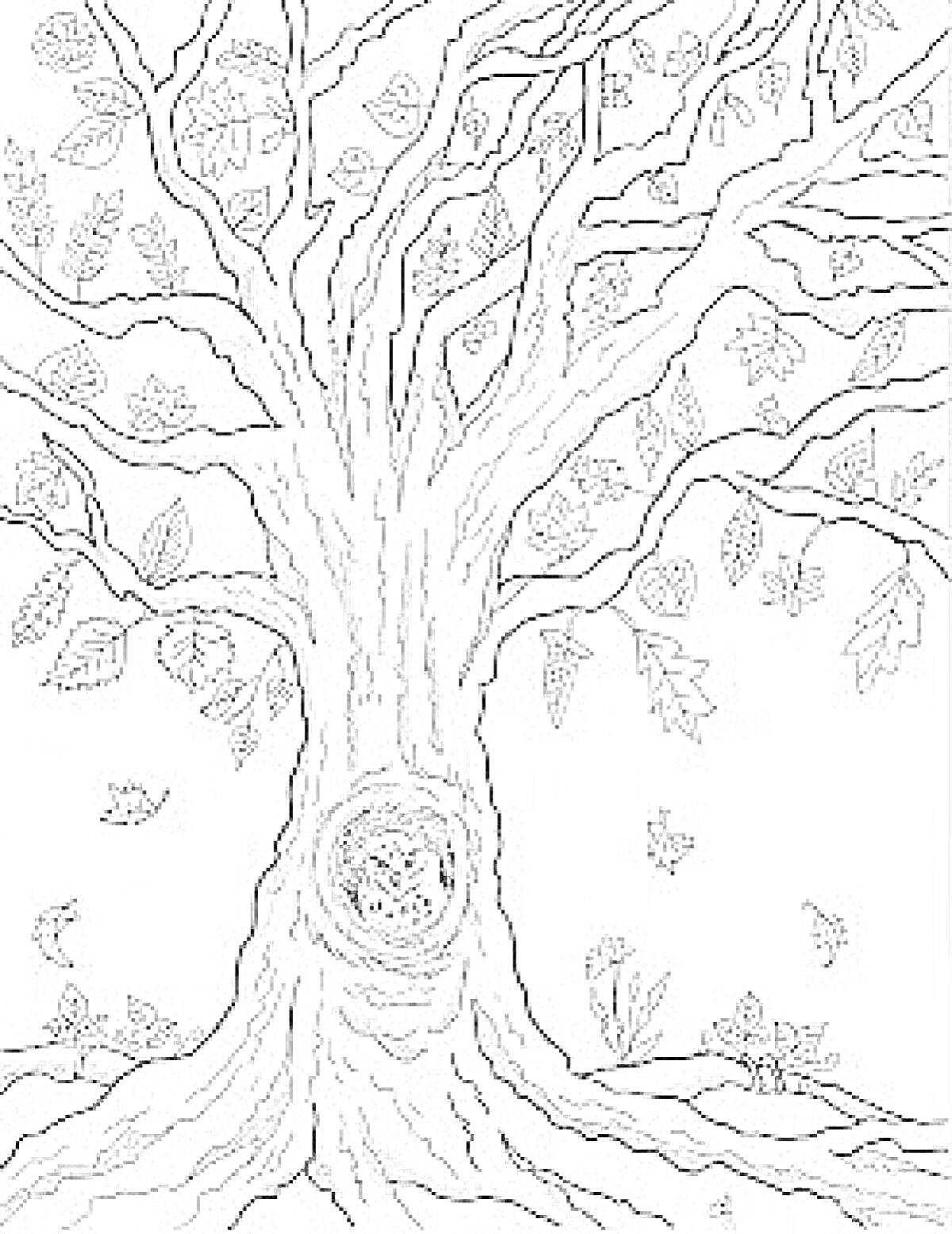 На раскраске изображено: Дупло, Сова, Листья, Осень, Природа, Лес, Деревья, Ветка