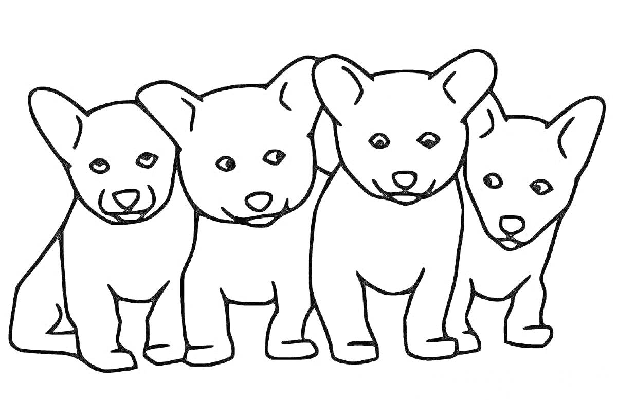 На раскраске изображено: Мило, Собака, Животные, Контурные рисунки, Сидеть