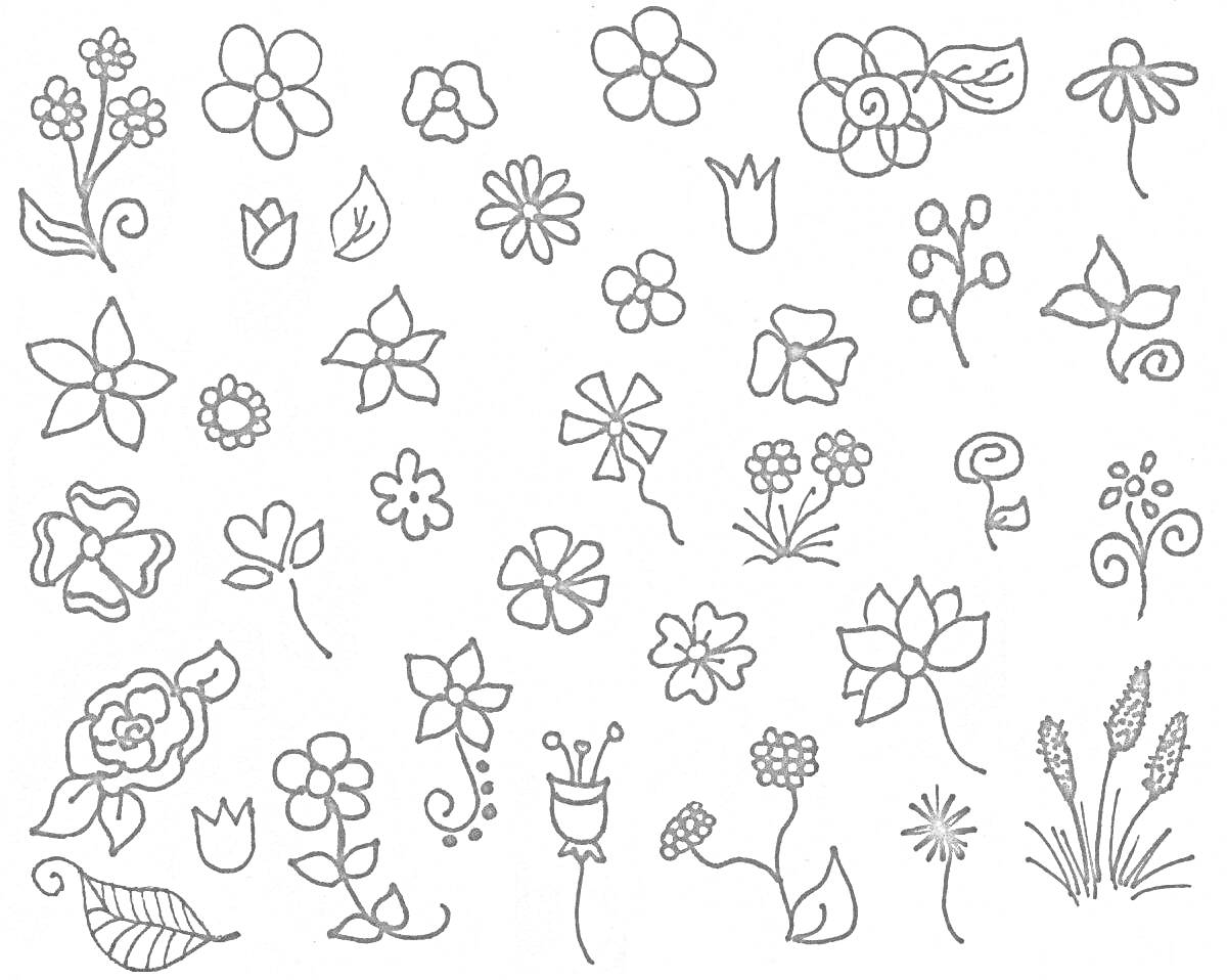 Раскраска различного вида цветочки — бутоны, лепестки, листочки, стебли и травы