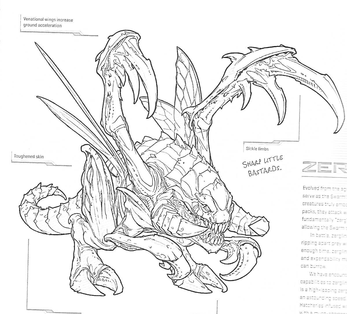 Раскраска Зергвая Хлопушка с четырьмя массивными клешнями, двумя крыльями и шипами по всей спине и хвосту