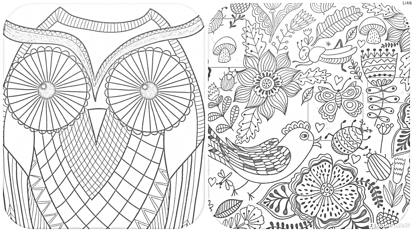 Раскраска Сова и цветочные орнаменты с птицами