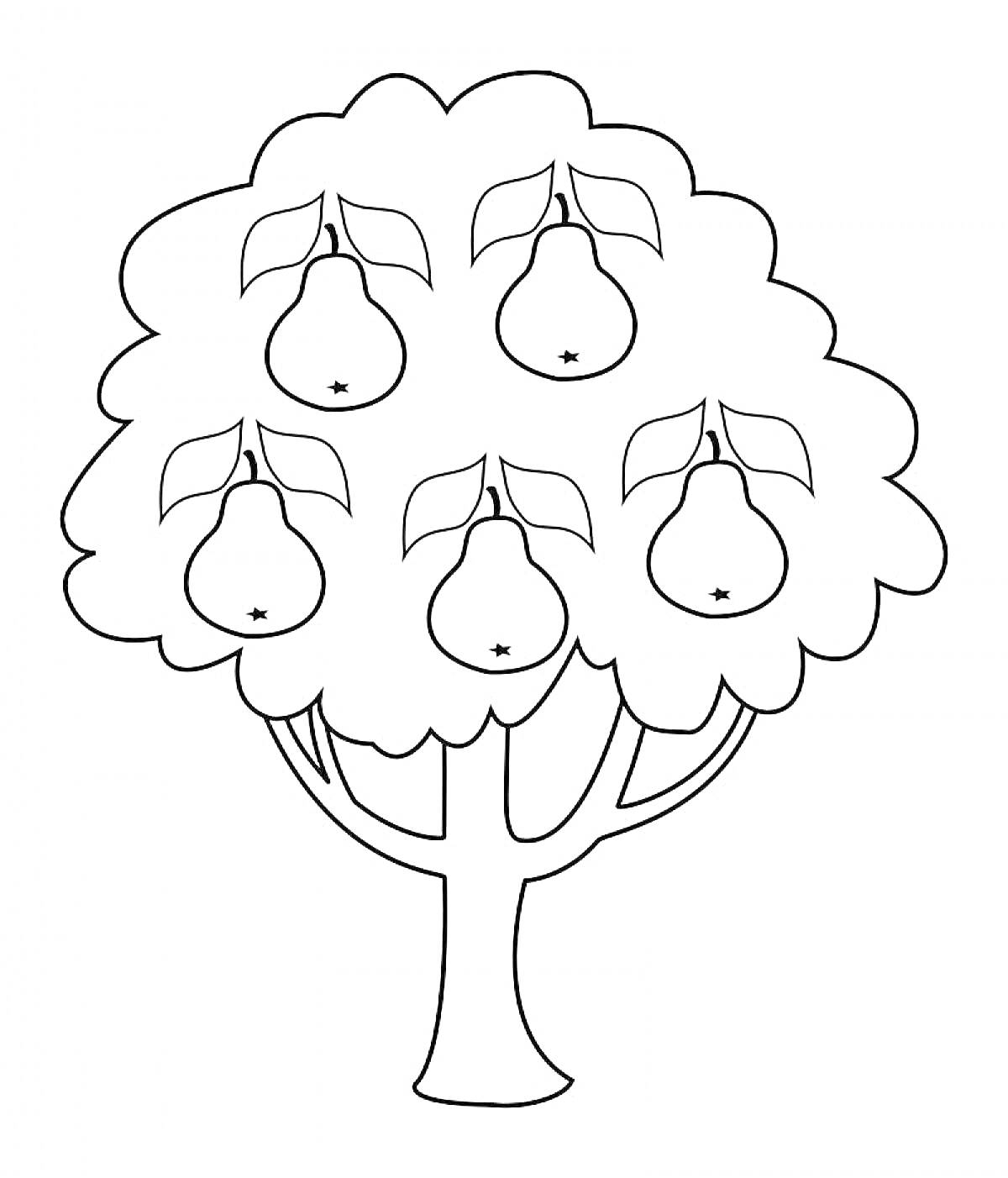 На раскраске изображено: Груши, Листья, Плоды, Природа, Сад, Фрукты, Деревья, Растения