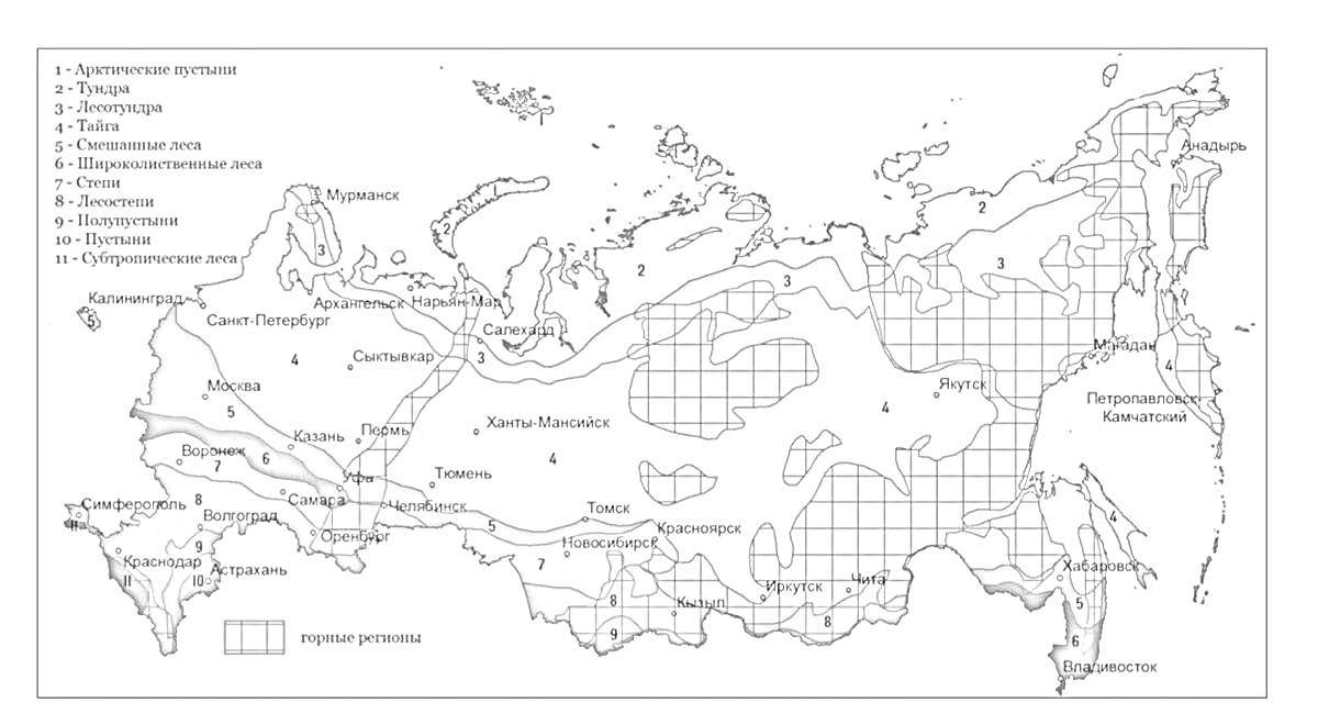Раскраска Карта природных зон России с обозначениями арктических пустынь, тундры, лесотундры, тайги, смешанных и широколиственных лесов, лесостепей, степей, полупустынь и пустынь, а также высокогорной растительности