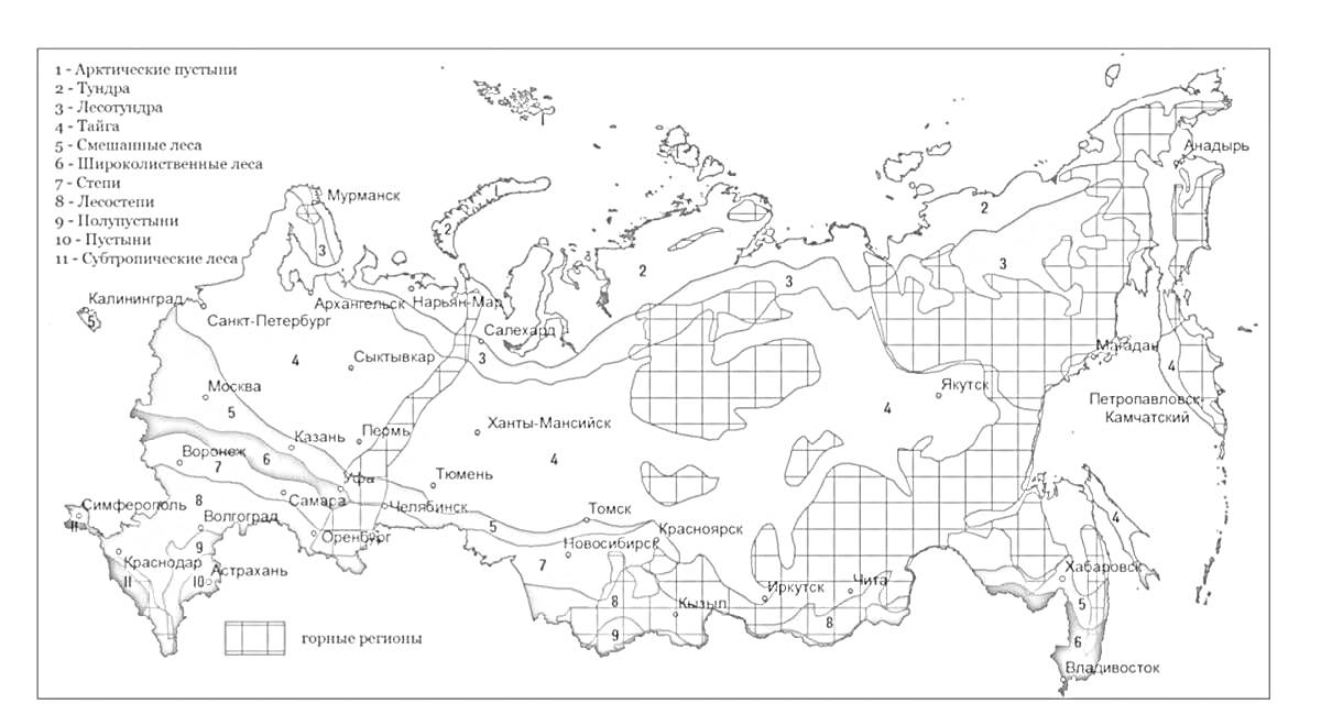 Карта природных зон России с обозначениями арктических пустынь, тундры, лесотундры, тайги, смешанных и широколиственных лесов, лесостепей, степей, полупустынь и пустынь, а также высокогорной растительности