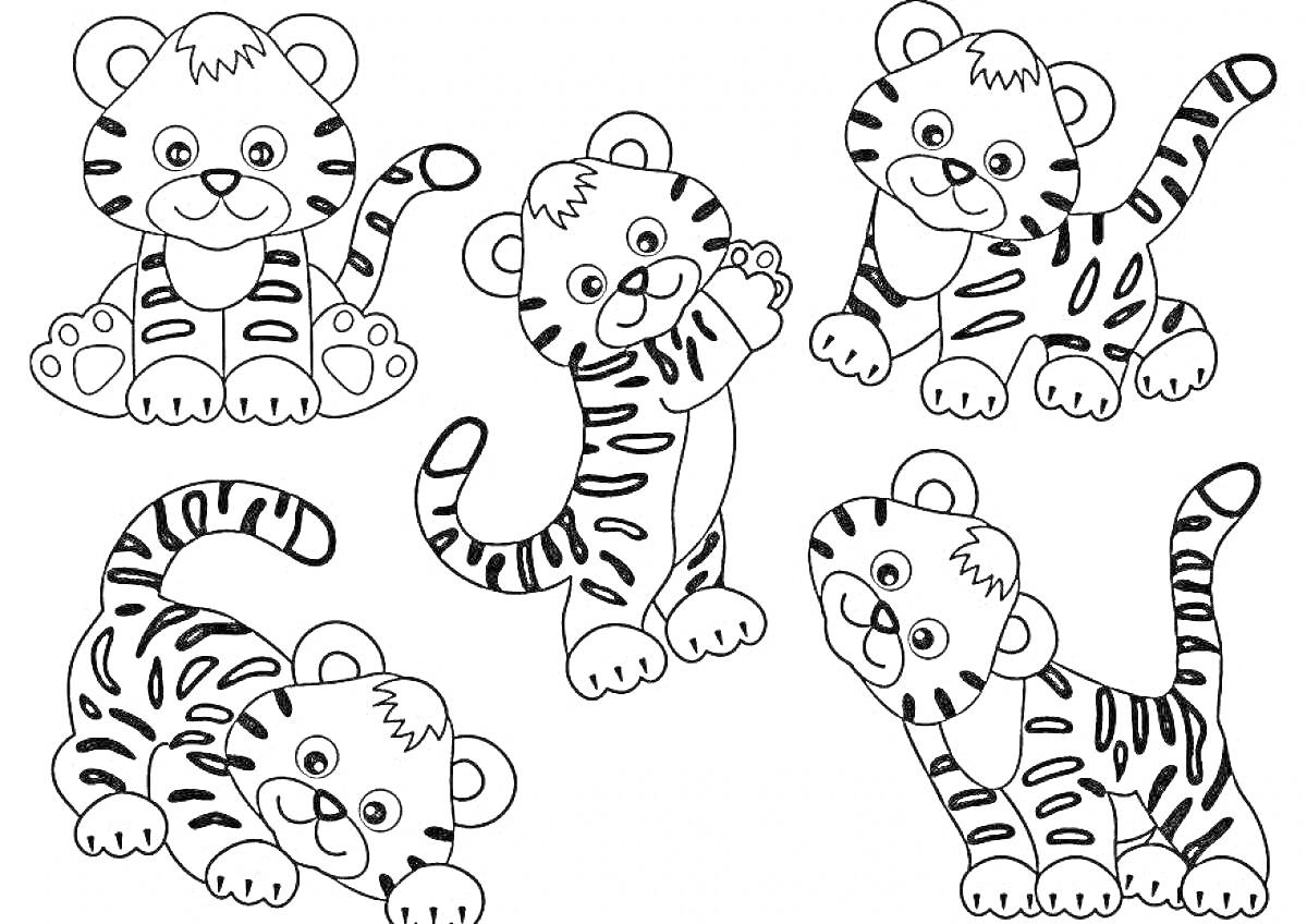 Раскраска Тигрята в разных позах
