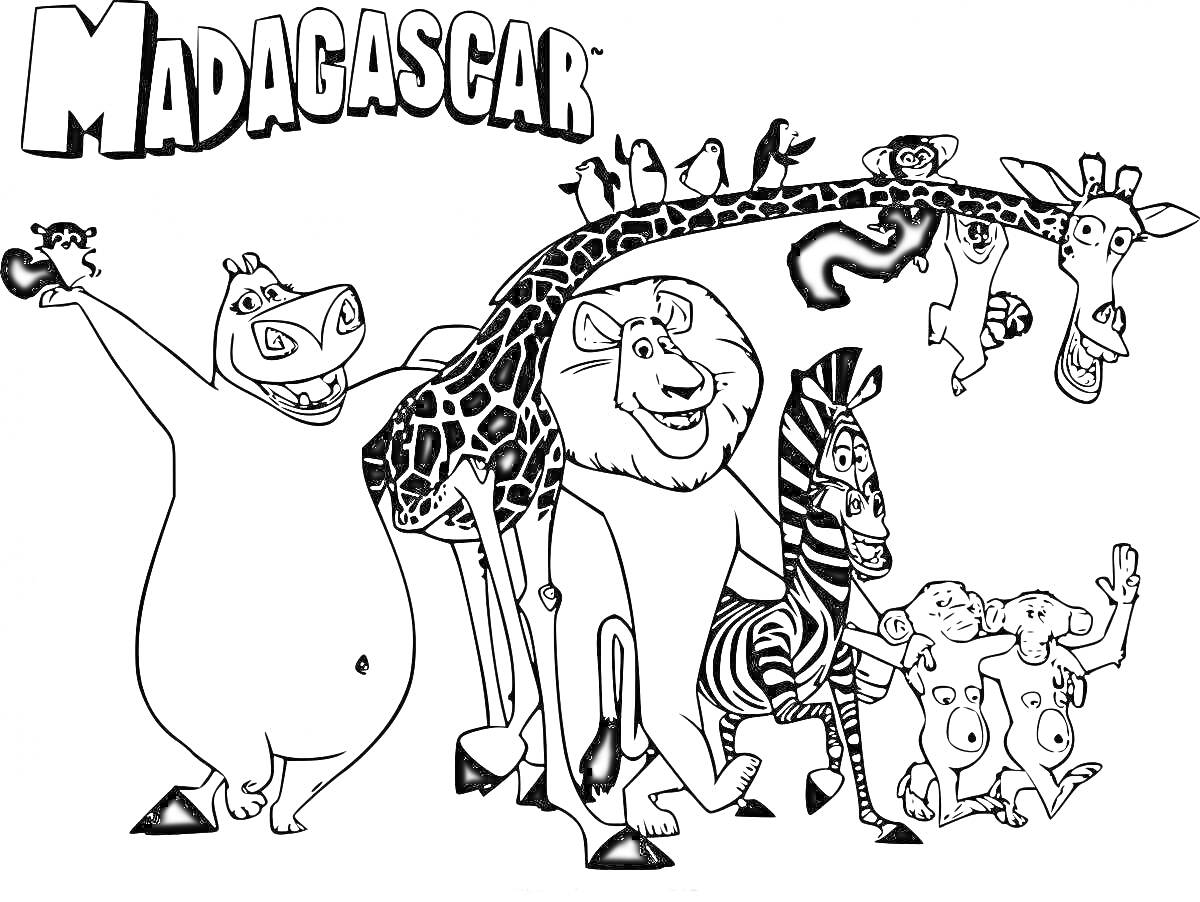 Madagascar - животные (бегемот, жираф, лев, зебра, лемуры)