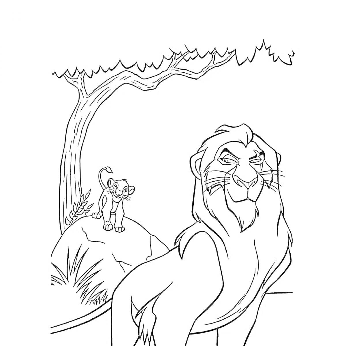 На раскраске изображено: Лев, Природа, Животные