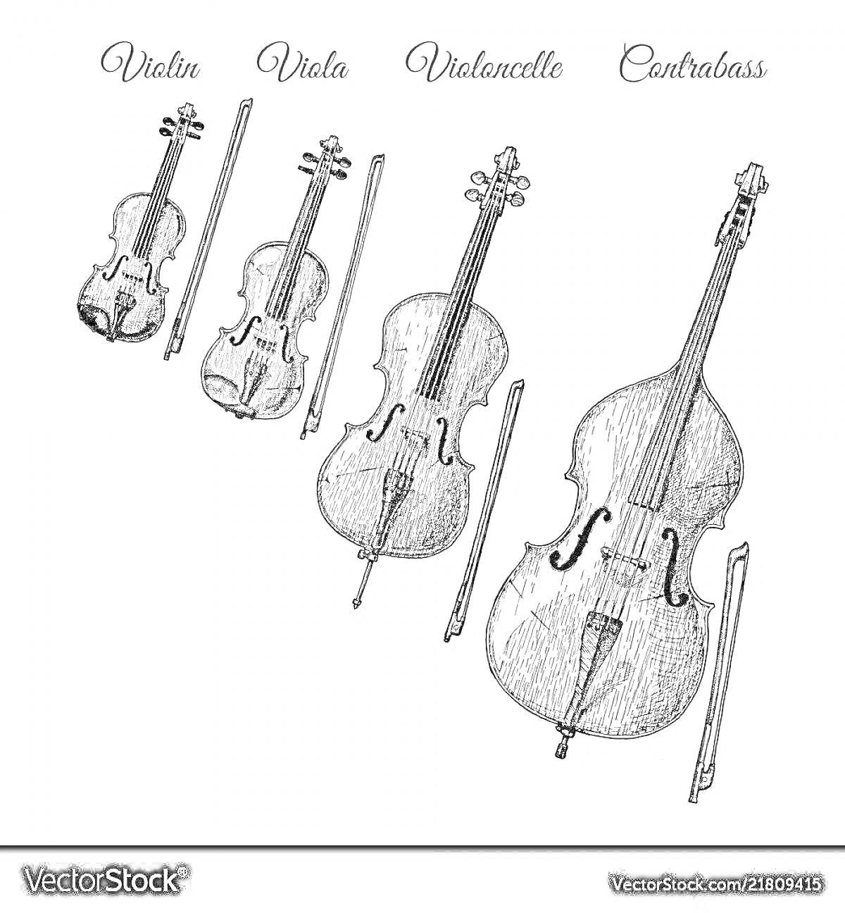 Раскраска Скрипка, альт, виолончель и контрабас