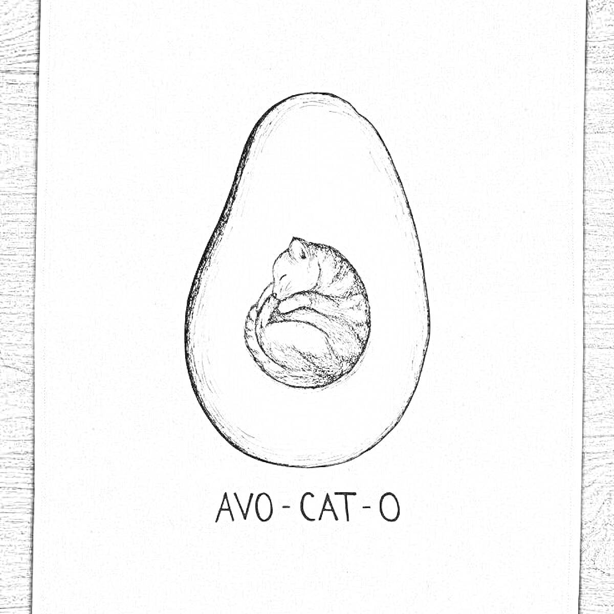 Раскраска котик в авокадо, черно-белая раскраска, текст 