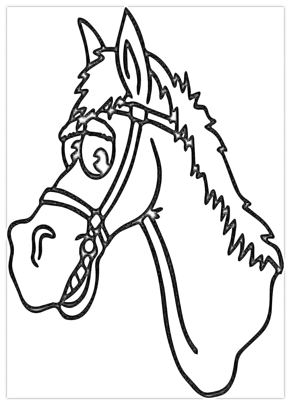 Раскраска Раскраска головы лошадки с уздечкой, широко открытый глаз, грива