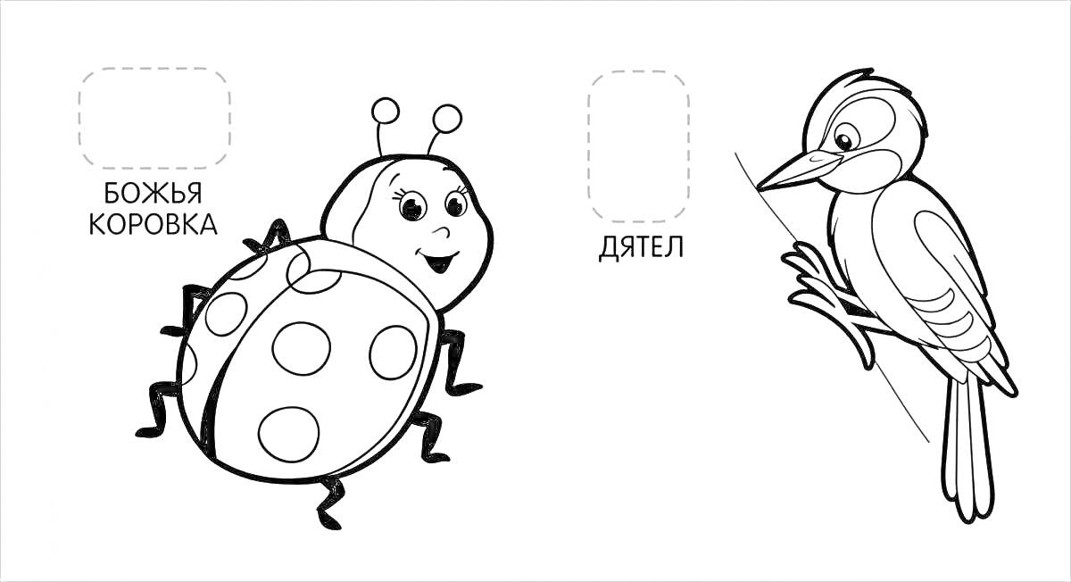 Раскраска Божья коровка и дятел