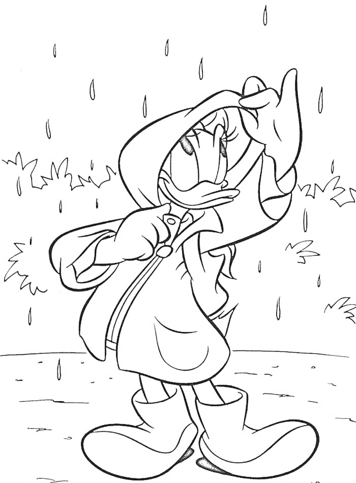 Дейзи Дак стоит под дождем в плаще и сапогах