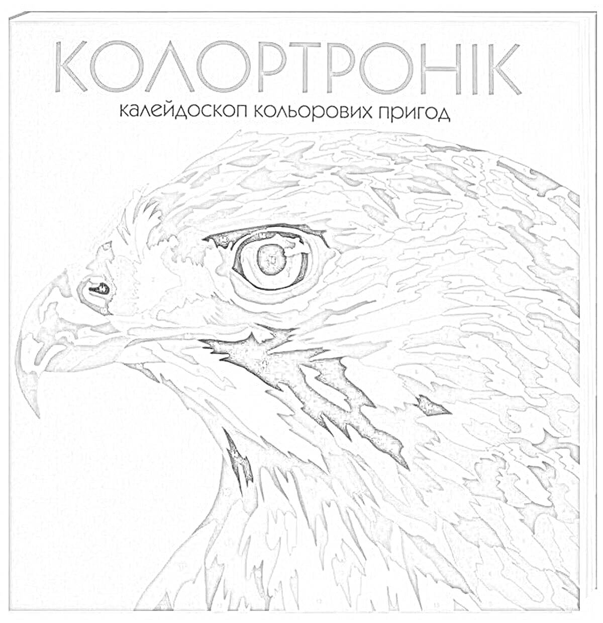 Раскраска КолорТроник - Книжка-раскраска с изображением ястреба