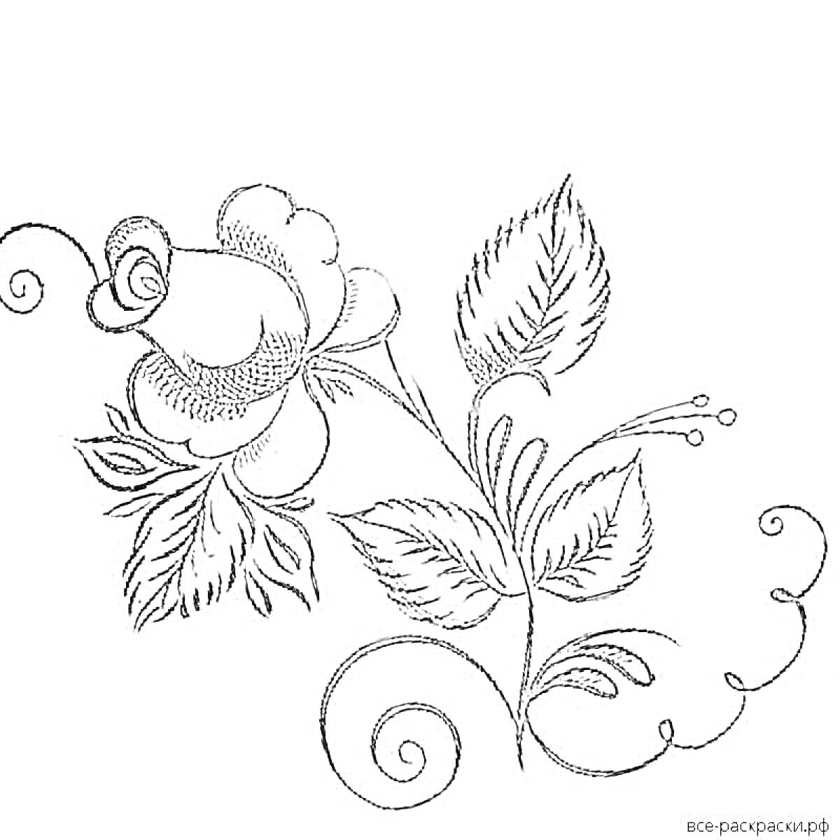 Раскраска Роза с листьями и завитками в стиле гжель