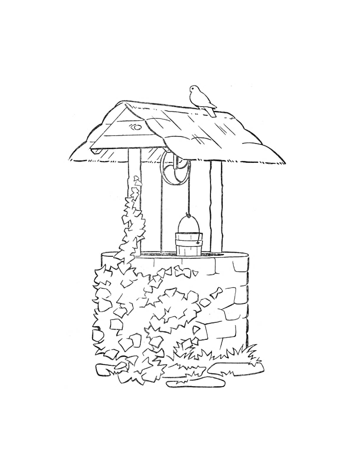 Раскраска Каменный колодец с крышей, ведром, виноградной лозой и сидящей птицей на крыше