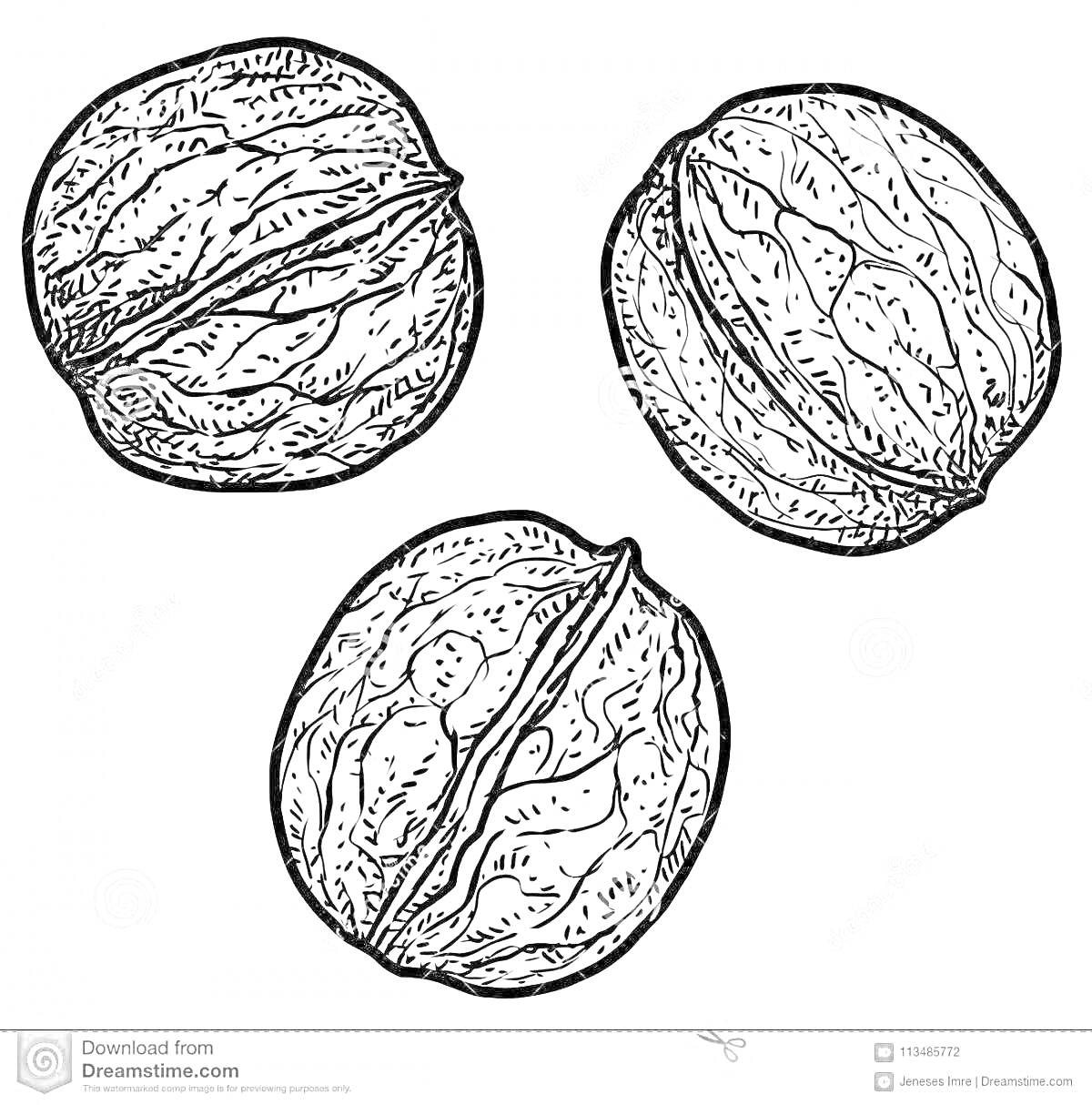 Раскраска Три целых грецких ореха