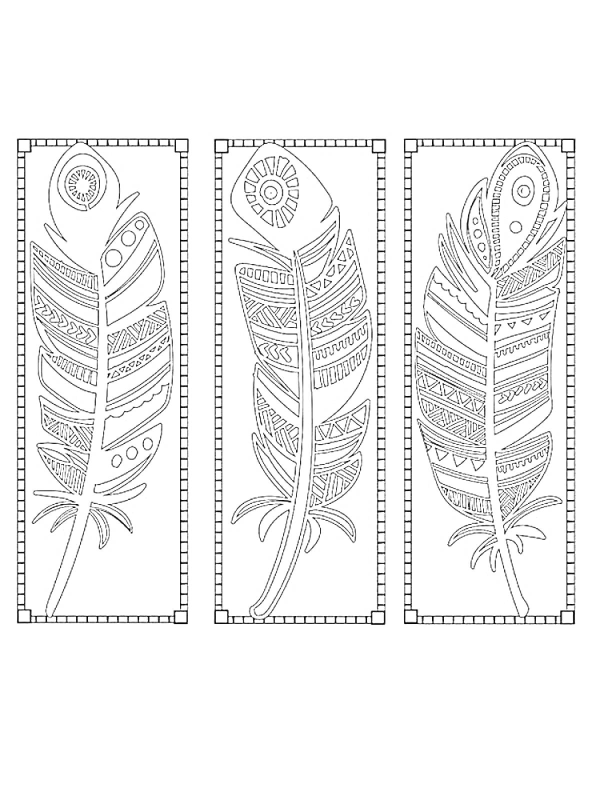 Раскраска Три декоративных пера в прямоугольных рамках с узорными элементами