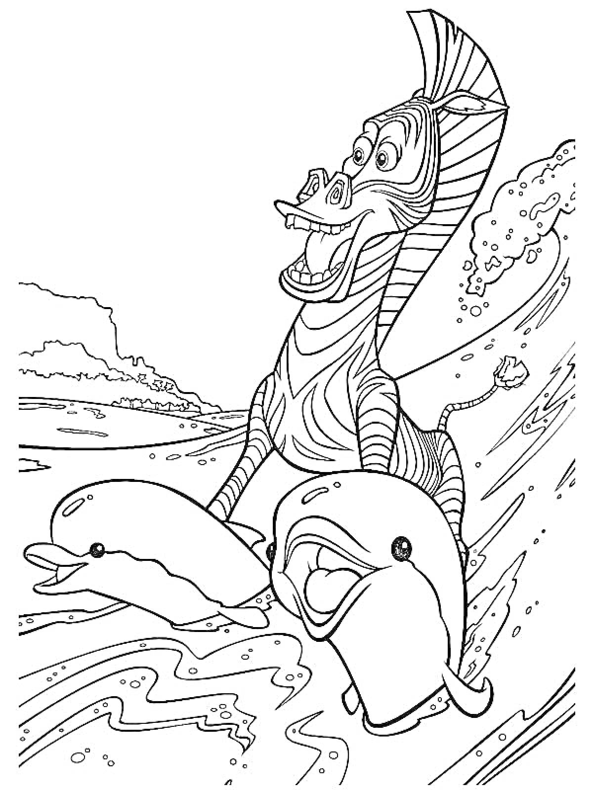 Раскраска Зебра с дельфинами на волне