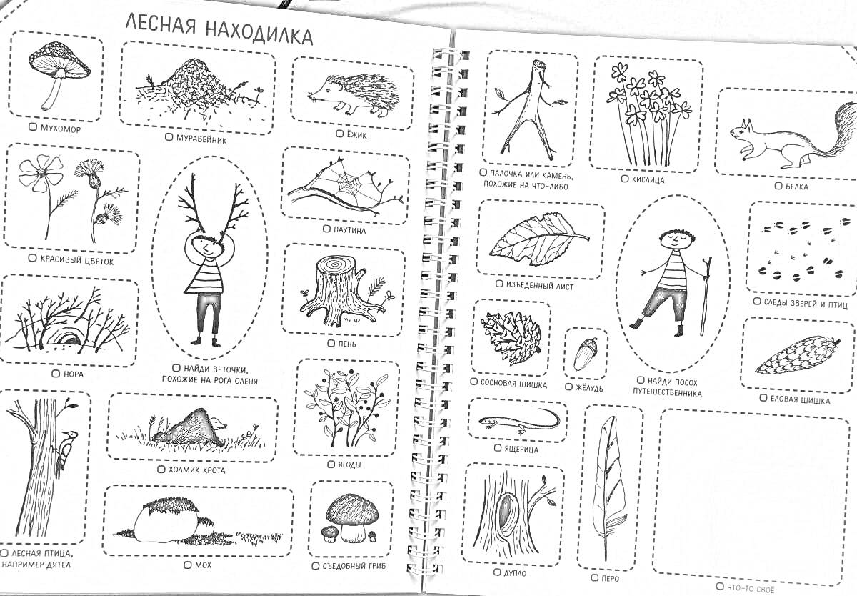 Раскраска Лесная находилка: листья, шишки, грибы, муравейник, ягодки, паутина, дятел, муравей, лягушка, бабочка, мокрица, ёж, цветы, дерево, коряга, птичье перо, трухлявый пень, лес.