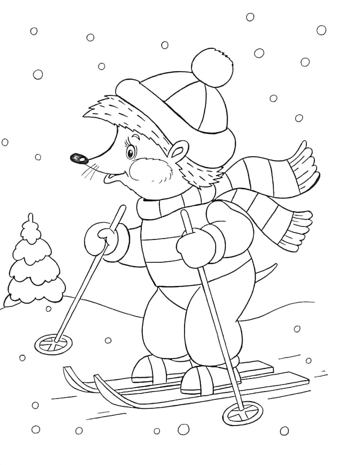 Раскраска Лыжник-еж зимой в шапке с помпоном и шарфе, едет на лыжах по снегу рядом с ёлкой