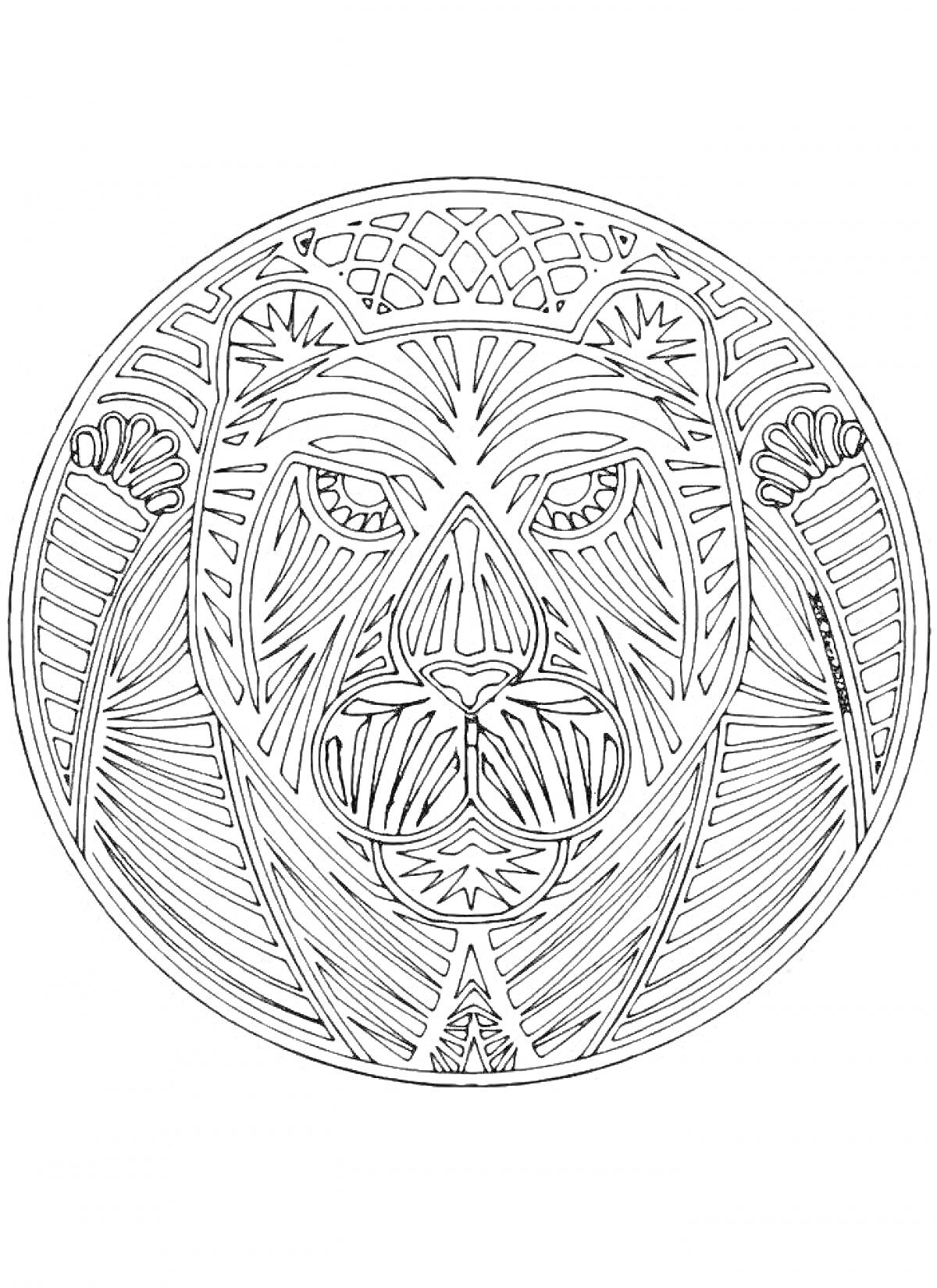 Раскраска Антистресс тигр с детализированной мордой в круглом орнаменте