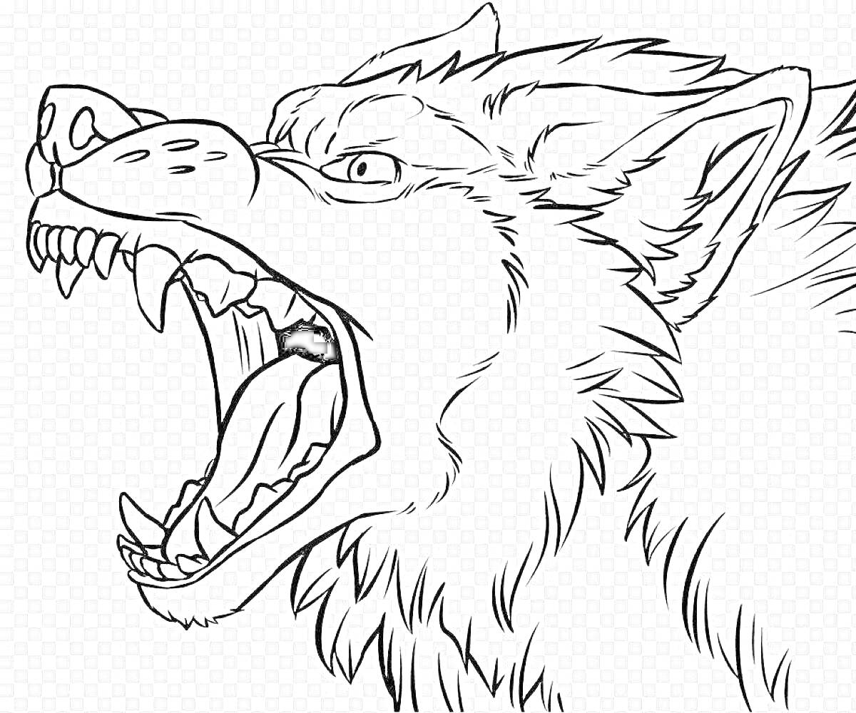 Раскраска голова злого волка с раскрытой пастью, вид сбоку, показываются зубы и шерсть