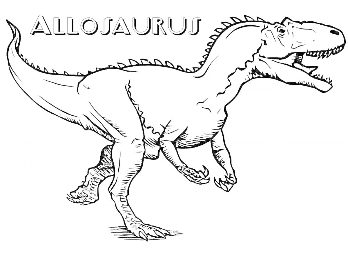 На раскраске изображено: Аллозавр, Динозавр, Творчество, Для детей, Доисторические животные, Развлечения, Рептилии
