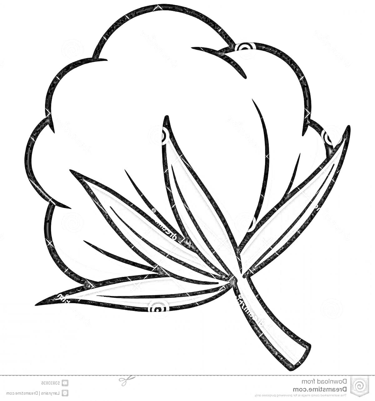На раскраске изображено: Хлопок, Природа, Листья, Для детей, Образование