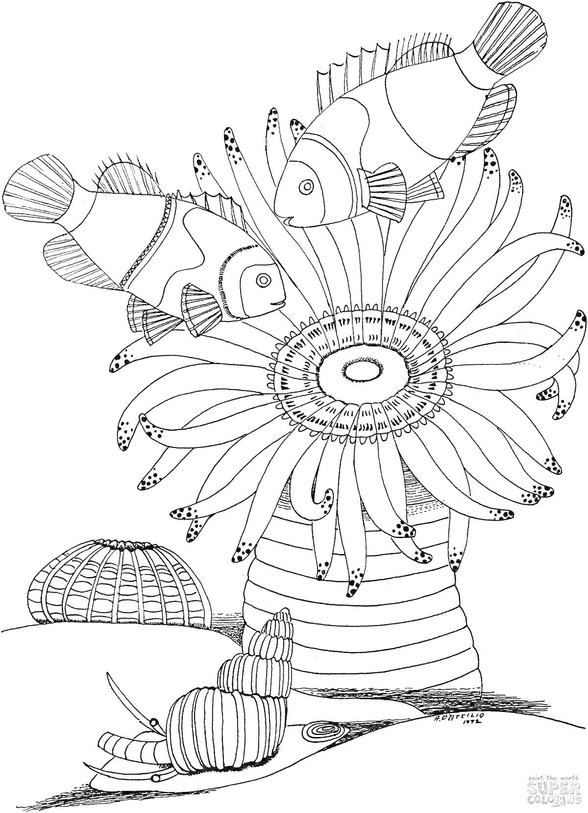 На раскраске изображено: Актиния, Рыбы-клоуны, Морское дно, Подводный мир, Морская жизнь, Кораллы