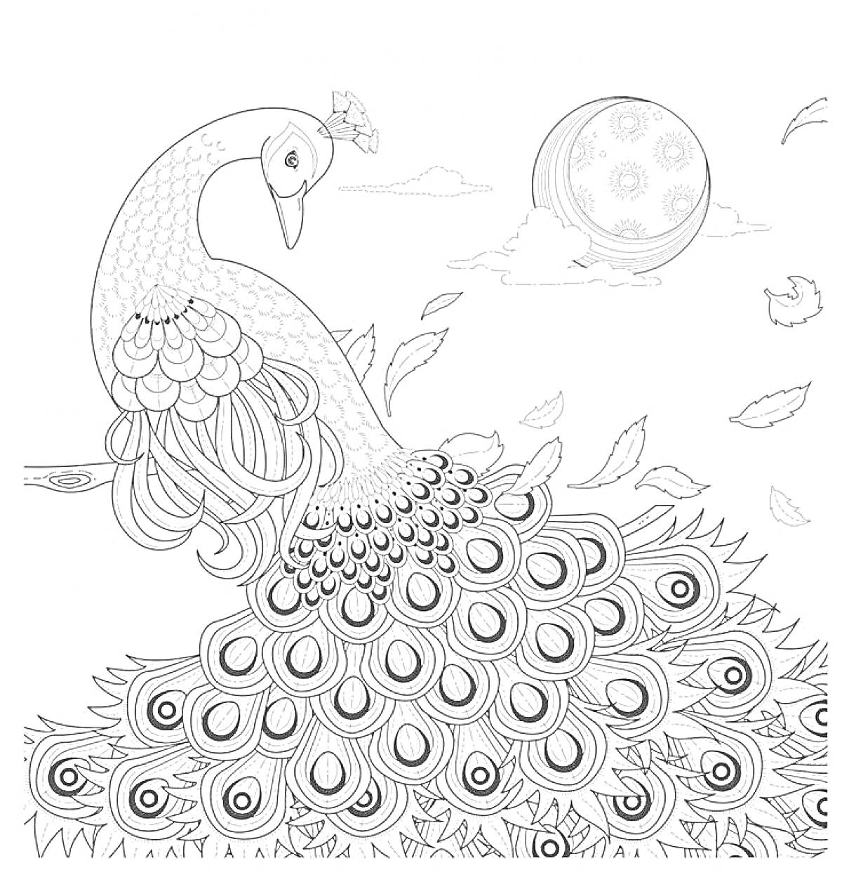 Раскраска Антистресс раскраска с павлином, разлетающимися листьями и луной на фоне облаков