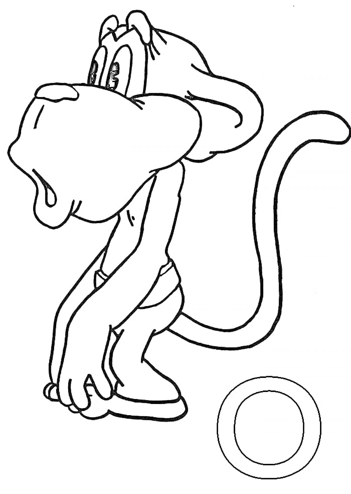 Раскраска Обезьяна с колечком