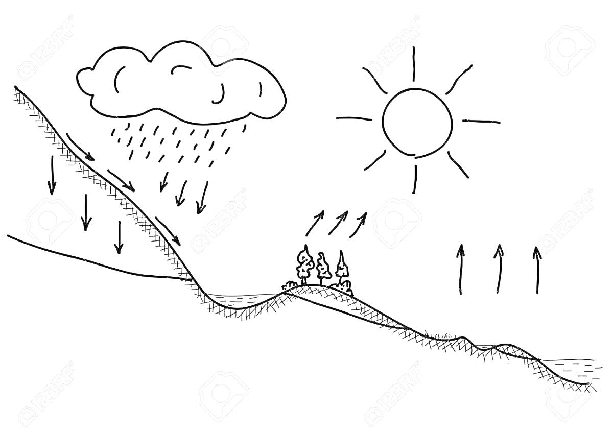 На раскраске изображено: Круговорот воды, Природа, Дождь, Облака, Солнце, Горы, Лес, Река, Испарение, Иллюстрация