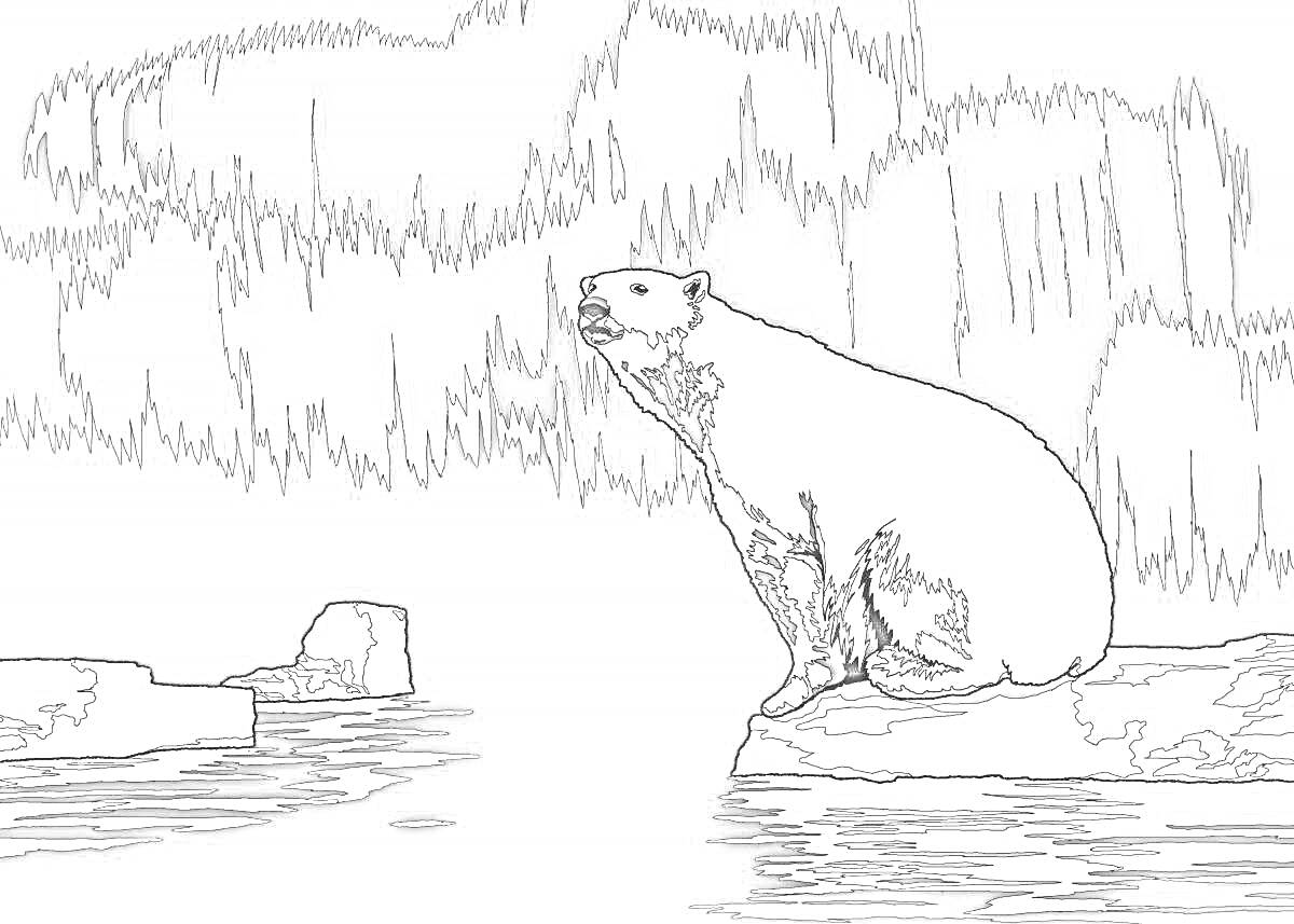 На раскраске изображено: Северное сияние, Полярный медведь, Льдина, Ночь, Север, Зима, Вода, Фауна