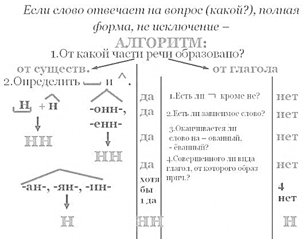 Раскраска Алгоритм выбора Н и НН в прилагательных, образованных от существительных и глаголов