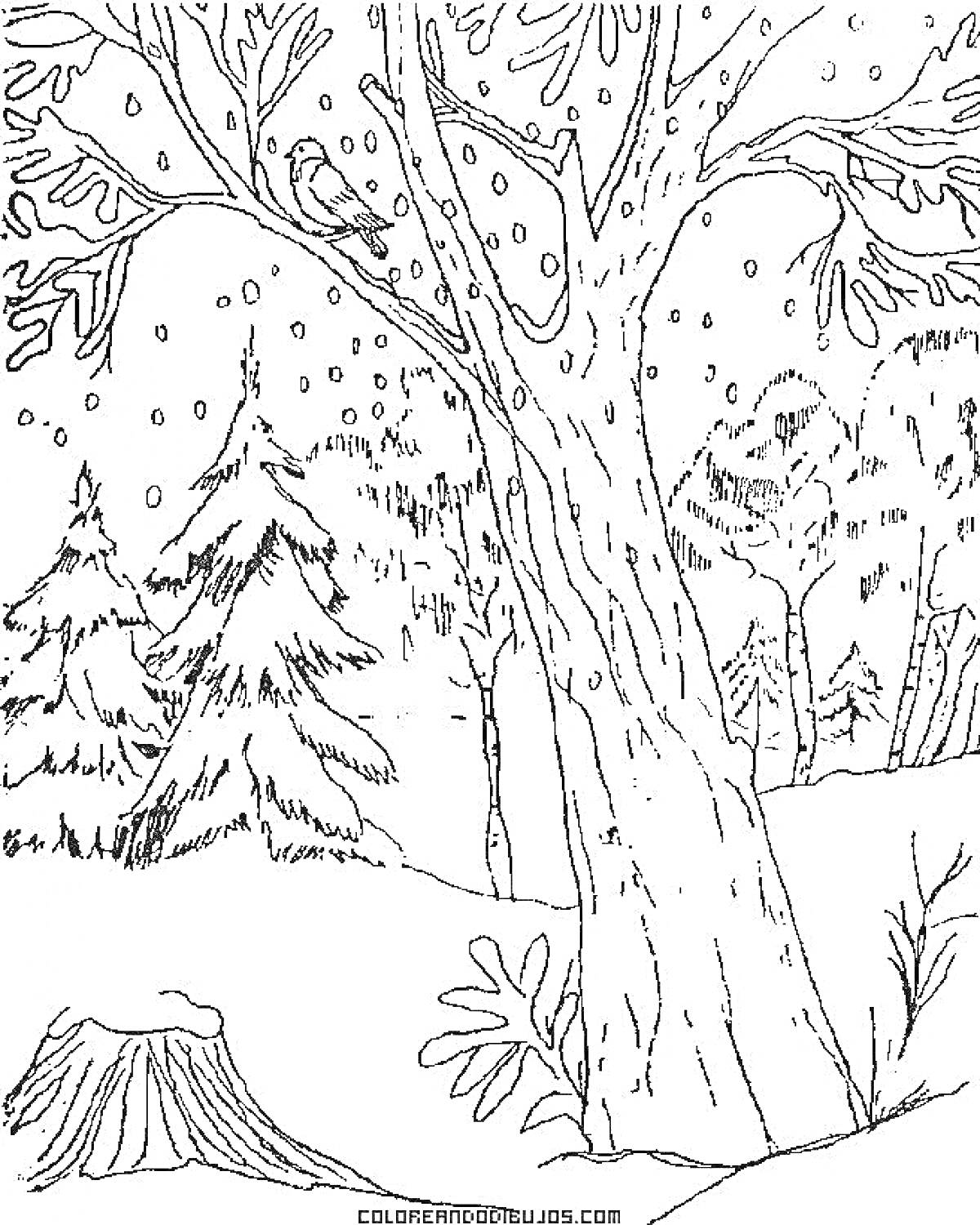 Раскраска Большое дерево в зимнем лесу с падающим снегом