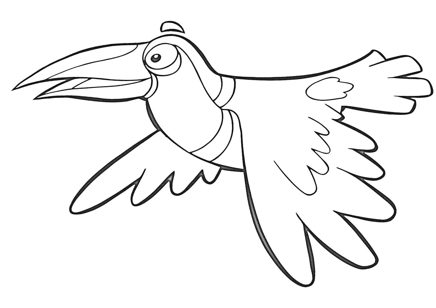 Раскраска Летящий тукан с клювом и крыльями, мордой, глазами и хвостом