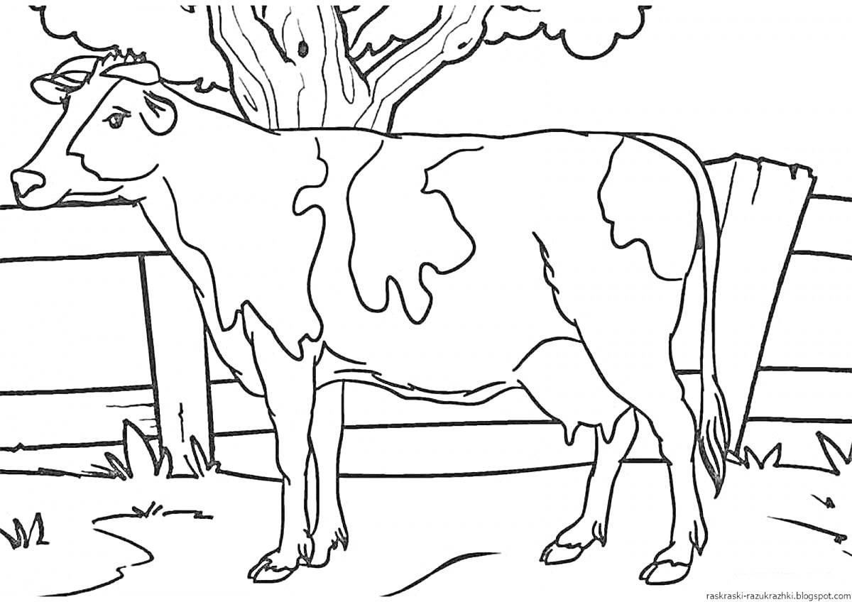 На раскраске изображено: Корова, Ферма, Забор, Природа, Для детей, Деревья, Животные