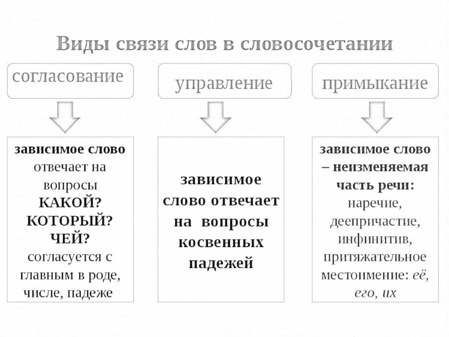 Согласование управление примыкание 6 класс. Согласование управление примыкание 6 класс