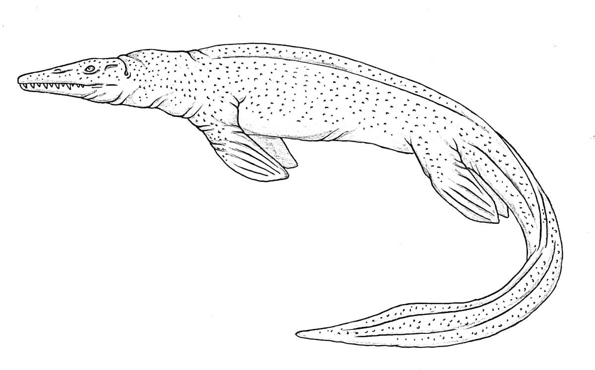 Мозазавр, морская рептилия, черно-белая раскраска