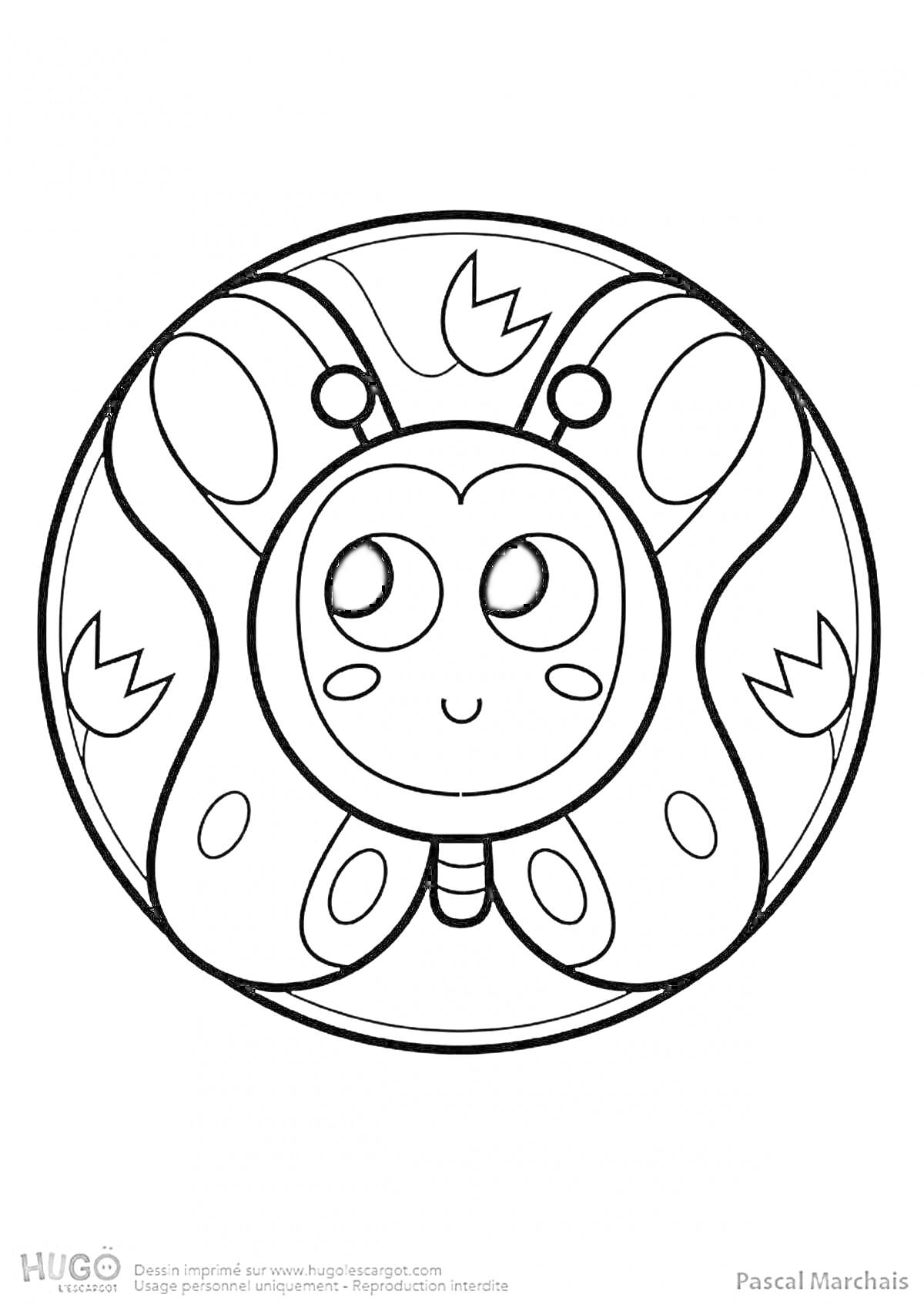 Раскраска Симпатичная бабочка с лицом в круге