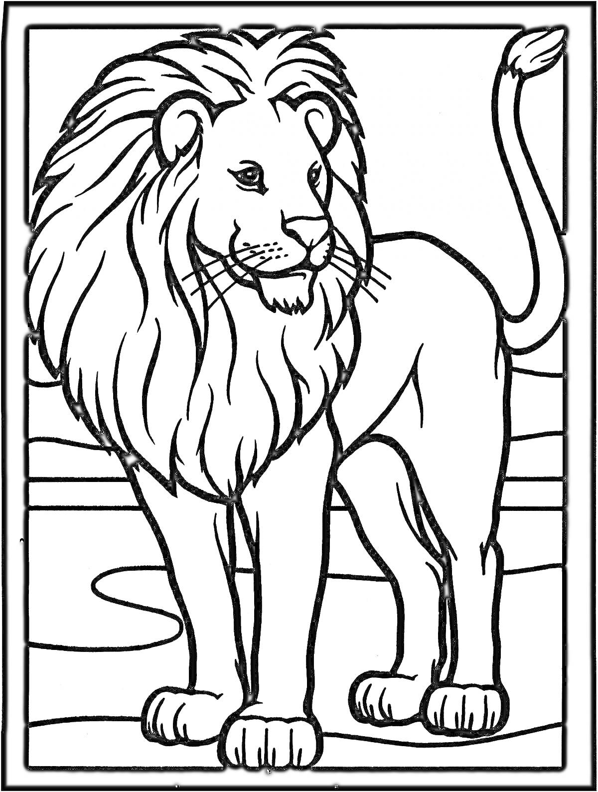 На раскраске изображено: Лев, Африканский лев, Животные, Саванна, Дикая природа, Большие кошки, Природа