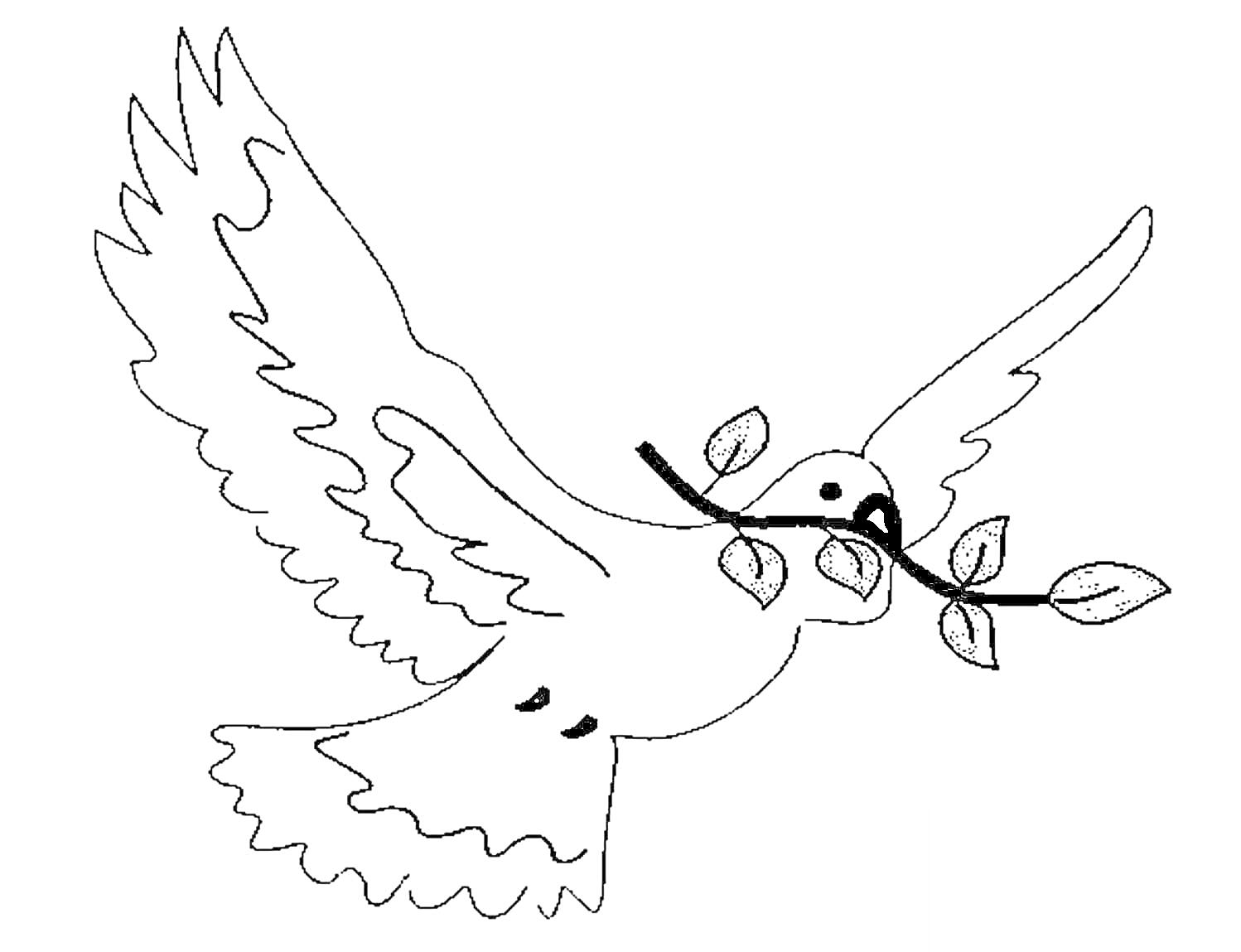 На раскраске изображено: Голубь, Мир, Оливковая ветвь, Птица, Символ мира, Линии